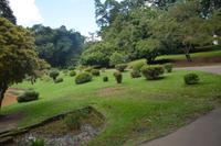 146 Botanischer Garten Peradeniya &ndash; &copy; Maria Schneider (Eberhardt TRAVEL)