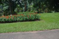148 Botanischer Garten Peradeniya &ndash; &copy; Maria Schneider (Eberhardt TRAVEL)