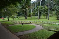 151 Botanischer Garten Peradeniya &ndash; &copy; Maria Schneider (Eberhardt TRAVEL)