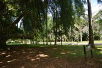 160 Botanischer Garten Peradeniya &ndash; &copy; Maria Schneider (Eberhardt TRAVEL)