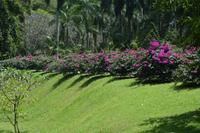 162 Botanischer Garten Peradeniya &ndash; &copy; Maria Schneider (Eberhardt TRAVEL)