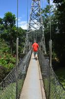163 Botanischer Garten Peradeniya &ndash; &copy; Maria Schneider (Eberhardt TRAVEL)