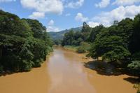 164 Botanischer Garten Peradeniya &ndash; &copy; Maria Schneider (Eberhardt TRAVEL)