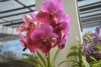 169 Botanischer Garten Peradeniya &ndash; &copy; Maria Schneider (Eberhardt TRAVEL)