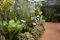 171 Botanischer Garten Peradeniya &ndash; &copy; Maria Schneider (Eberhardt TRAVEL)