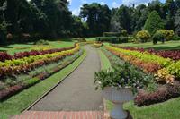 179 Botanischer Garten Peradeniya &ndash; &copy; Maria Schneider (Eberhardt TRAVEL)