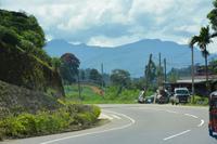 184 Hochland Sri Lanka &ndash; &copy; Maria Schneider (Eberhardt TRAVEL)