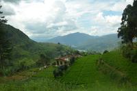 201 Hochland Sri Lanka &ndash; &copy; Maria Schneider (Eberhardt TRAVEL)