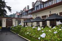 217 Kolonialhotel Grand Nuwara Eliya &ndash; &copy; Maria Schneider (Eberhardt TRAVEL)