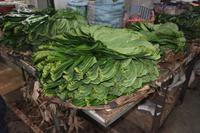 227 Marktbesuch Nuwara Eliya &ndash; &copy; Maria Schneider (Eberhardt TRAVEL)
