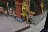 239 Hindutempel &ndash; &copy; Maria Schneider (Eberhardt TRAVEL)