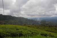 243 Region Adams Peak &ndash; &copy; Maria Schneider (Eberhardt TRAVEL)