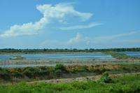 272 Umgebung Yala Nationalpark &ndash; &copy; Maria Schneider (Eberhardt TRAVEL)