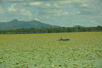 273 Umgebung Yala Nationalpark &ndash; &copy; Maria Schneider (Eberhardt TRAVEL)