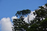 274 Flughunde &ndash; &copy; Maria Schneider (Eberhardt TRAVEL)