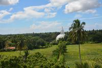 279 Landschaft Tissamaharama &ndash; &copy; Maria Schneider (Eberhardt TRAVEL)