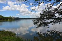 291 Landschaft Tissamaharama &ndash; &copy; Maria Schneider (Eberhardt TRAVEL)