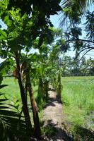 310 Plantage &ndash; &copy; Maria Schneider (Eberhardt TRAVEL)