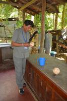 318 Kokoswasser trinken &ndash; &copy; Maria Schneider (Eberhardt TRAVEL)