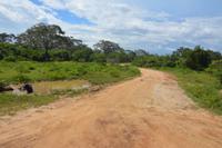 334 Safari im Yala Nationalpark &ndash; &copy; Maria Schneider (Eberhardt TRAVEL)