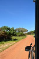 339 Safari im Yala Nationalpark &ndash; &copy; Maria Schneider (Eberhardt TRAVEL)