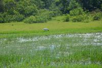 341 Safari im Yala Nationalpark &ndash; &copy; Maria Schneider (Eberhardt TRAVEL)