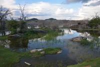 372 Safari im Yala Nationalpark &ndash; &copy; Maria Schneider (Eberhardt TRAVEL)