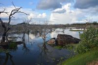 374 Safari im Yala Nationalpark &ndash; &copy; Maria Schneider (Eberhardt TRAVEL)