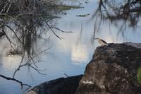 375 Safari im Yala Nationalpark &ndash; &copy; Maria Schneider (Eberhardt TRAVEL)