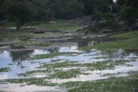 377 Safari im Yala Nationalpark &ndash; &copy; Maria Schneider (Eberhardt TRAVEL)