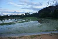 378 Safari im Yala Nationalpark &ndash; &copy; Maria Schneider (Eberhardt TRAVEL)