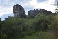 379 Safari im Yala Nationalpark &ndash; &copy; Maria Schneider (Eberhardt TRAVEL)