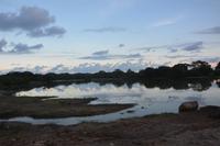 381 Safari im Yala Nationalpark &ndash; &copy; Maria Schneider (Eberhardt TRAVEL)