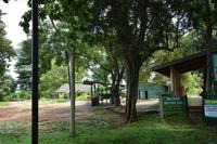387 Elefantenwaisenhaus Udawalawe &ndash; &copy; Maria Schneider (Eberhardt TRAVEL)