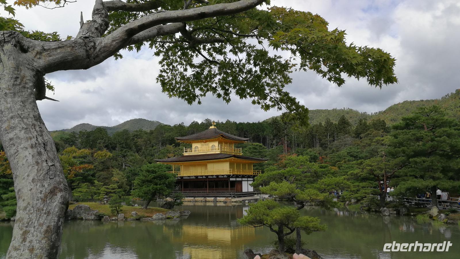 Kinkakuji Tempel Kyoto &ndash; &copy; Andreas Mandel (Eberhardt TRAVEL)