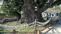 Hahoe Dorf &ndash; &copy; Andreas Mandel (Eberhardt TRAVEL)