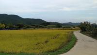 Hahoe Dorf &ndash; &copy; Andreas Mandel (Eberhardt TRAVEL)