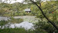 Ryoanji Tempel Kyoto &ndash; &copy; Andreas Mandel (Eberhardt TRAVEL)