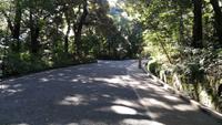 Tokyo Meiji Schrein &ndash; &copy; Andreas Mandel (Eberhardt TRAVEL)