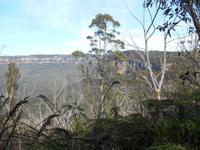 Blue Mountains &ndash; &copy; Katrin Deutschbein (Eberhardt TRAVEL)