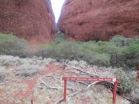Outback - Wanderung bei den Kata Tjutas (Olgas) &ndash; &copy; Katrin Deutschbein (Eberhardt TRAVEL)