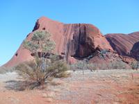 Outback - Spaziergänge am Uluru (Ayers Rock) &ndash; &copy; Katrin Deutschbein (Eberhardt TRAVEL)