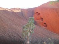 Outback - Spaziergänge am Uluru (Ayers Rock), Kapi Matitjulu &ndash; &copy; Katrin Deutschbein (Eberhardt TRAVEL)