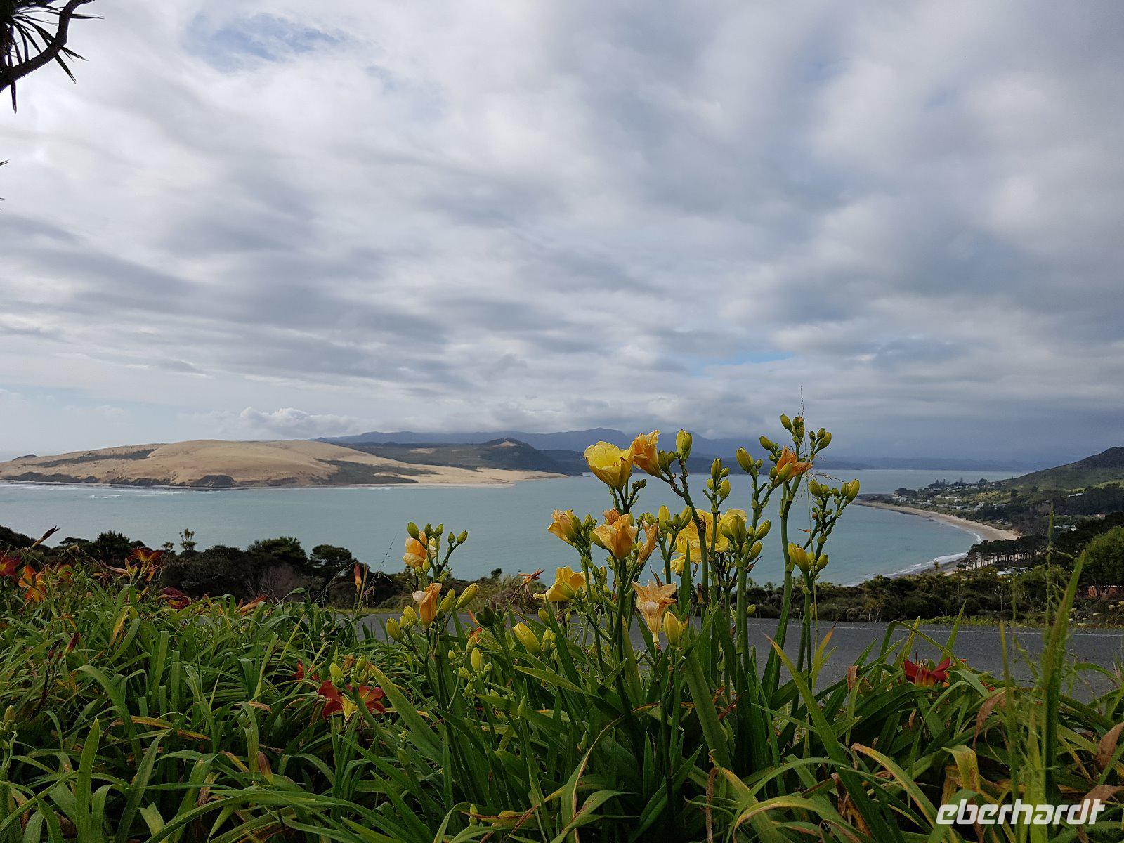 0514_Hokianga Harbour &ndash; &copy; Jörg Nesse (Eberhardt TRAVEL)