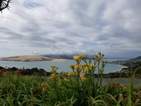 0514_Hokianga Harbour &ndash; &copy; Jörg Nesse (Eberhardt TRAVEL)