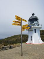 0608_Ausflug Cape Reinga &ndash; &copy; Jörg Nesse (Eberhardt TRAVEL)