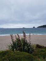 0801_Cathedral Cove &ndash; &copy; Jörg Nesse (Eberhardt TRAVEL)