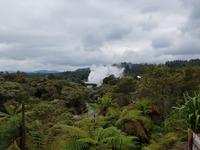 0906_Rotorua; Te Puia. &ndash; &copy; Jörg Nesse (Eberhardt TRAVEL)
