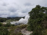 0908_Rotorua; Te Puia. &ndash; &copy; Jörg Nesse (Eberhardt TRAVEL)