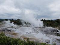 0911_Rotorua; Te Puia. &ndash; &copy; Jörg Nesse (Eberhardt TRAVEL)